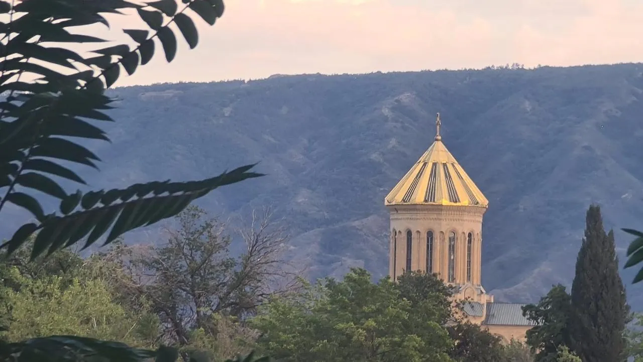 Hostel Business House Tbilisi 0*,  Georgien